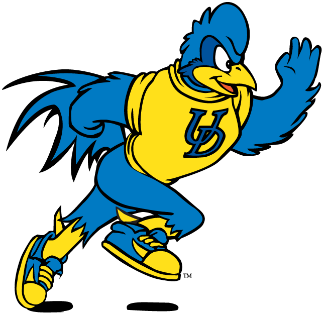 delaware blue hens 1993-pres mascot logo v10 diy iron on heat transfer